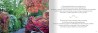 Giverny en photos