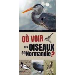 Où voir les oiseaux en...