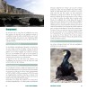 Où voir les oiseaux en Normandie ?