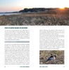 Où voir les oiseaux en Normandie ?