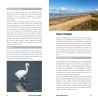 Où voir les oiseaux en Normandie ?