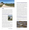 Où voir les oiseaux en Normandie ?