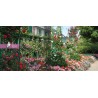 La magie de Giverny – Une année dans le jardin de Claude Monet