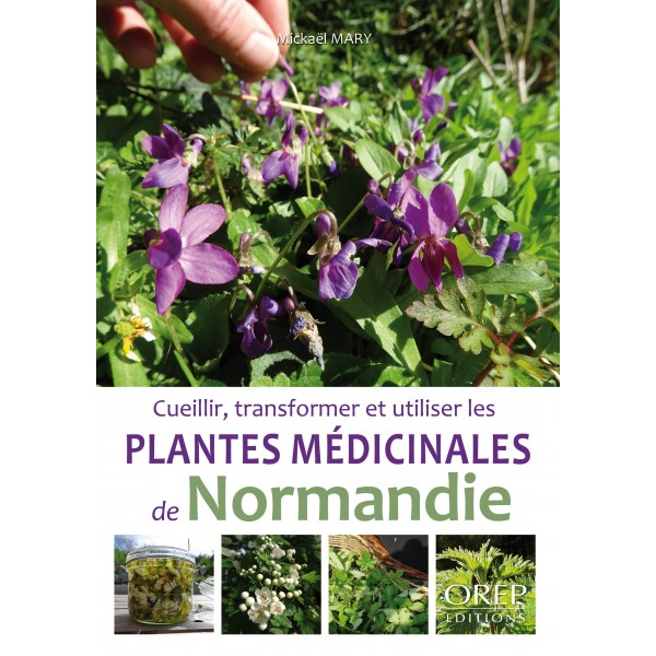 Porte-plantes Nopal by Le Vivant - Ulule