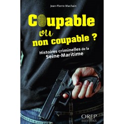 Coupable ou non coupable ?...