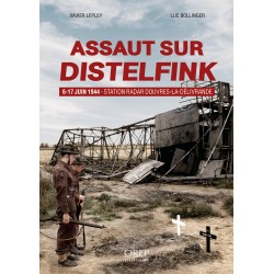 Assaut sur Distelfink