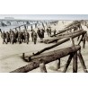 Normandy 44