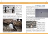 Les Oiseaux marins  de Normandie