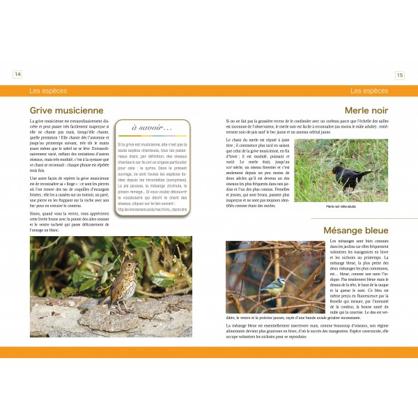 Fèves épiphanie Oiseaux du bonheur - DBP (Distribution Boulangerie Fèves épiphanie Oiseaux du bonheur - DBP (Distribution Boulangerie
