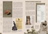 Les Animaux : héros de la Grande Guerre