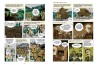 The D-Day Landings