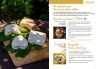 Gourmet Normandy in 48 recipes