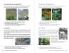 Sur les pas de Monet à Giverny et Vernon