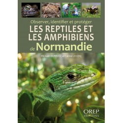 Observer, identifier et...