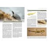 Observer, identifier et protéger les reptiles et les amphibiens de Normandie