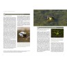 Observer, identifier et protéger les reptiles et les amphibiens de Normandie