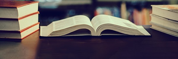 Essays and biographies