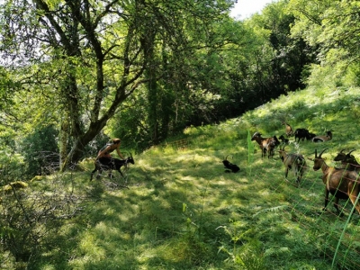Elles, agricultrices, paysannes...