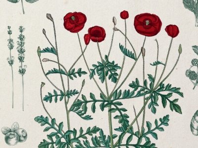 Il y a des secrets bien gardés et d’autres qui méritent d’être révélés