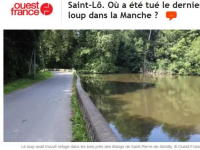 Où a été tué le dernier loup, en Normandie ? 