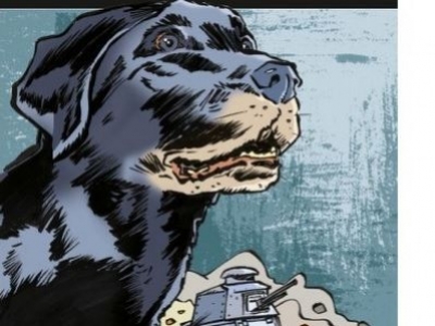Bleu, labrador héro de la Première Guerre !