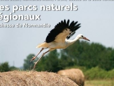 Études Normandes n°1 : Les parcs naturels régionaux.