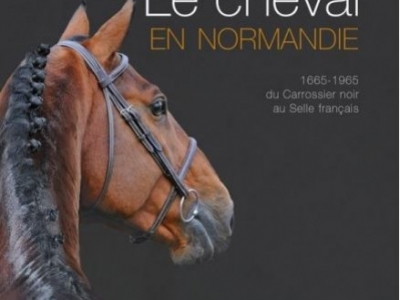 Le cheval en Normandie