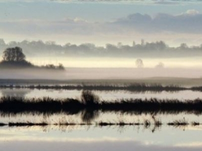 Les Marais du Cotentin et du Bessin