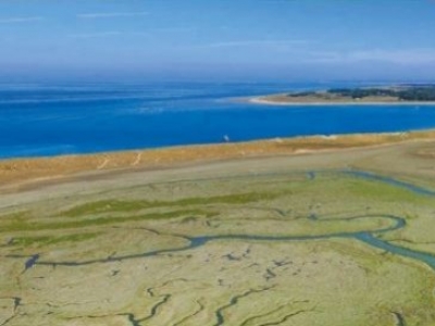 La Manche, fleuve d'échanges 