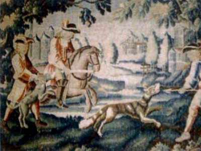 Le retour du loup en Normandie n'est qu'une question d'années