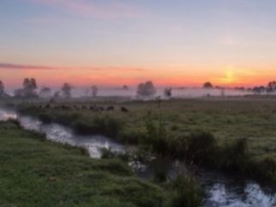 Les Marais de la Dives