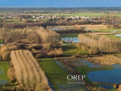 Les Marais de la Dives
