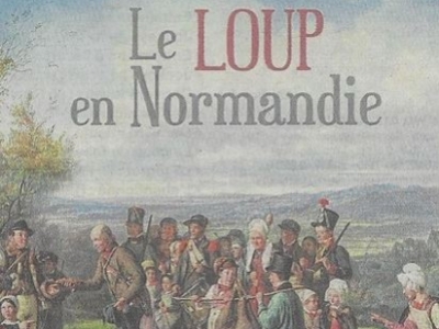 A la découverte du loup
