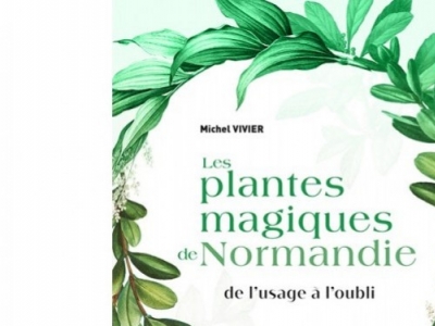 Les plantes magiques de Normandie...