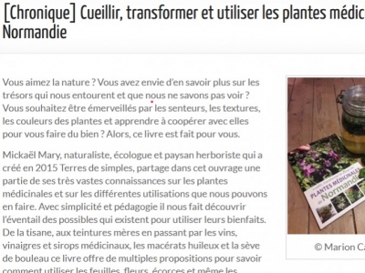 Les plantes médicinales de Normandie