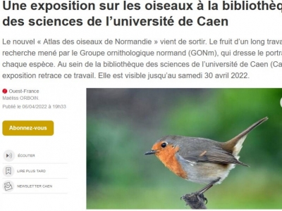 Une exposition sur les oiseaux...